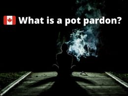 what is a pot pardon?